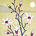 Kozo Onishi Gallery